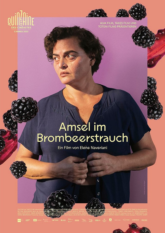 DIE AMSEL IM BROMBEERSTRAUCH  - Kino Ebensee